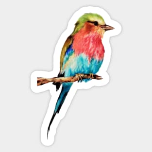 Lonely Colorful Bird On A Branch Sticker